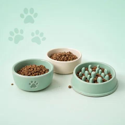 Slow feeder bowl